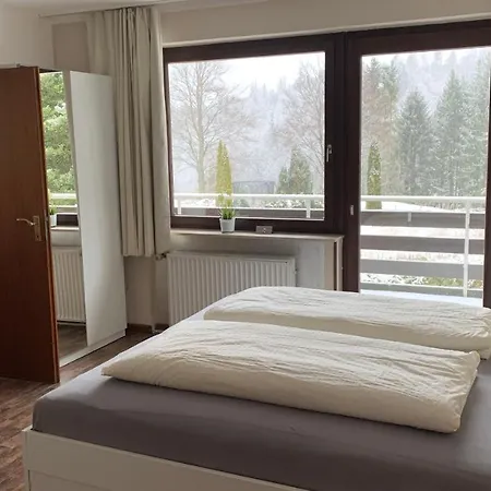 Harzkieker Apartment
