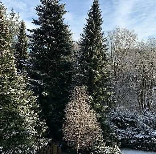 Appartement Harzkieker *